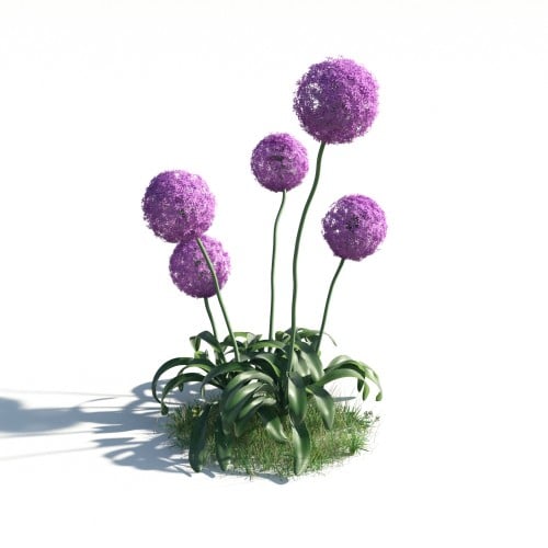 plant 4 AM183 Archmodels