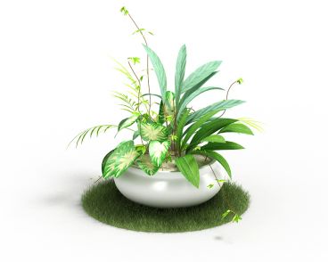 Plant 58 AM4 for Cinema4D Archmodels