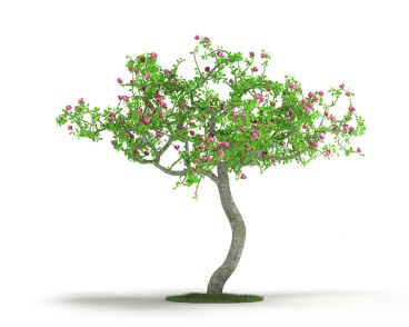 Plant 7 AM4 for Cinema4D Archmodels