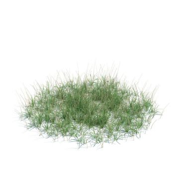 simple grass large 135 AM124 Archmodels