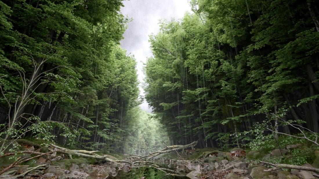 image_hd_blendermarket