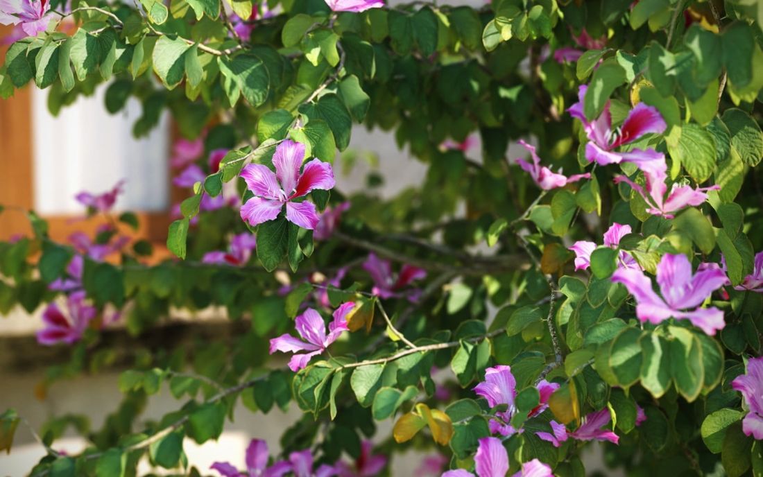 nr_00903_detail_02