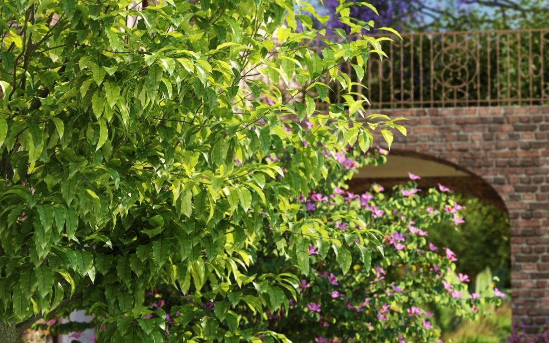 nr_00904_detail_03