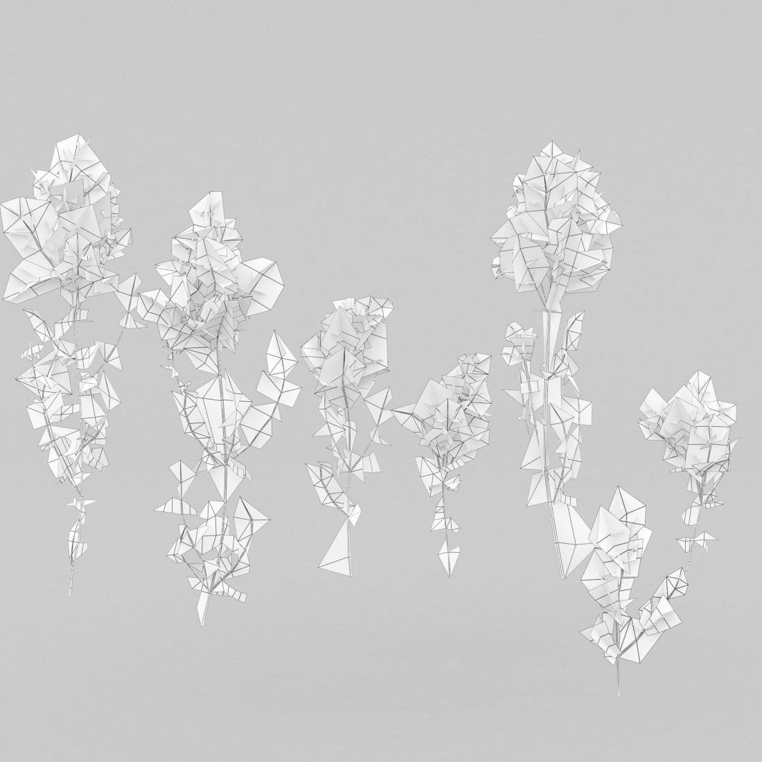 nr_02383_AM225_04_Wire_1