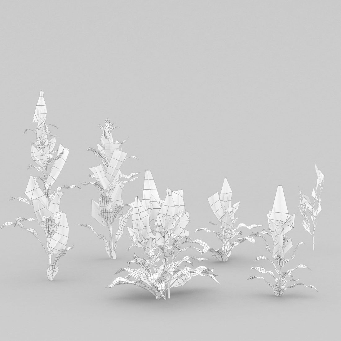 nr_02384_AM225_05_Wire_1