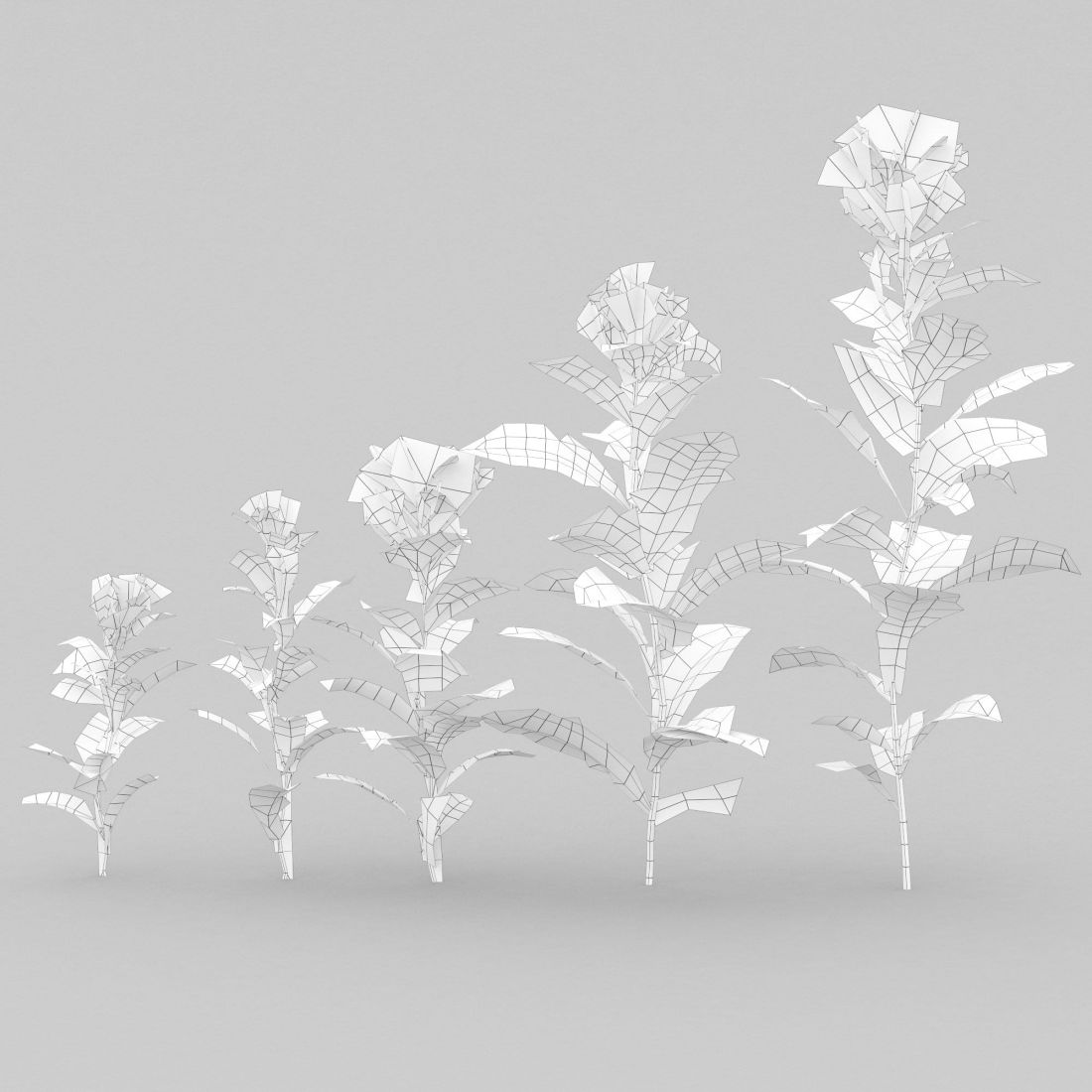 nr_02391_AM225_12_Wire_1