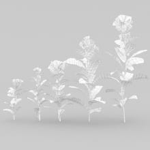 nr_02391_AM225_12_Wire_1