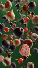 vertical_still_02_pp_1080-X-1920