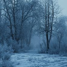 winter_scene_022_1440x1440