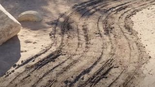 Create Dirt Road in Blender