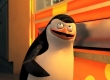 Penguins of Madagascar Cheesy Dibbles Room