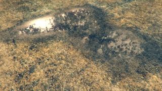 Tip of the Week. Puddle shader