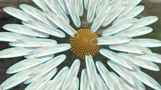3dsMax 2024 released