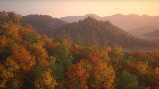 V-Ray 3.5 RT GPU Supports ForestColor Texture