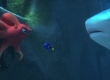 Two clips from "Finding Dory"