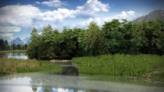 New ultra-realistic trees collection is coming!