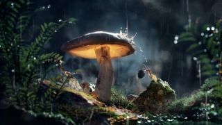 "The Secret Garden" by Leandro Oliveira - Making of