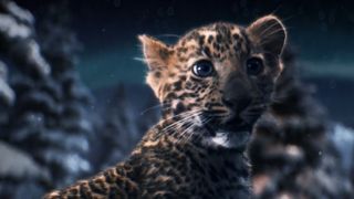 Making of Cartier Winter Tale