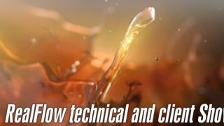 RealFlow technical and clients Showreel 2013