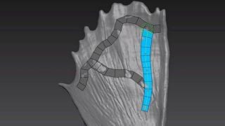 TopoLogiK – a new retopo tool for 3DS Max
