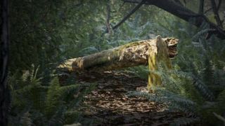 Photogrammetry in Archmodels: from photo to 3d model