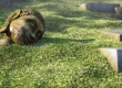 Realistic Grass with Vray Fur Modifier