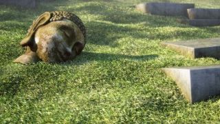 Realistic Grass with Vray Fur Modifier