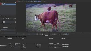 Tutorial: Reviewing Footage for Tracking in mocha