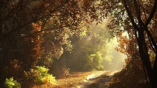 Making of Autumn Scene