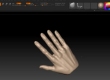 Sculpting a hand in ZBrush