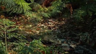 What is Quixel Megascans?