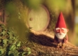 Gnome short animation