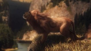 Houdini Fur Training