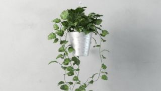 Modeling realistic plant with 3ds Max - Tip of the Week 