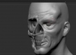 Create a zombie with dynamesh in ZBrush 4R6