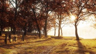 Prices and Release Date of Corona Renderer 1.0 for 3ds Max