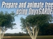 Tip of the Week. Create trees and animate them with OnyxGARDEN