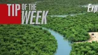 Tip of the Week. Exploring ForestPack4