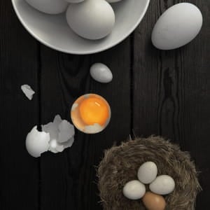 Just Eggs!