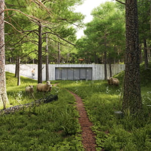 House in the woods