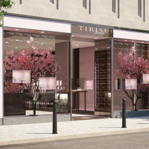 Exterior and Interior Design of Tirisi shop in Japan