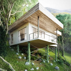 Forest getaway