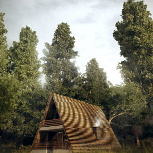 Cabin in the woods!
