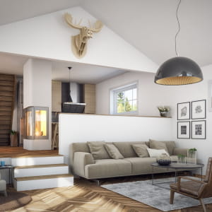 Scandinavian interior