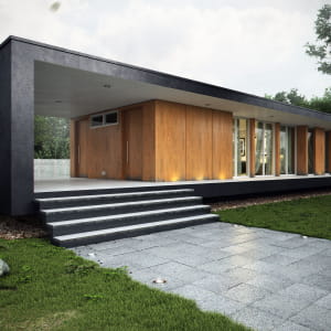 black modern house