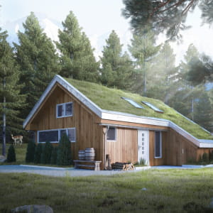 New Work Cabin House