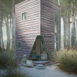 House in forest