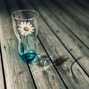 Flower&amp;Caustics