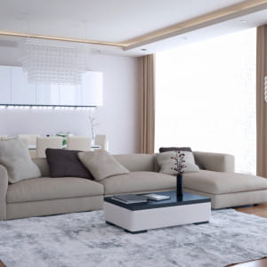 Luxury living room