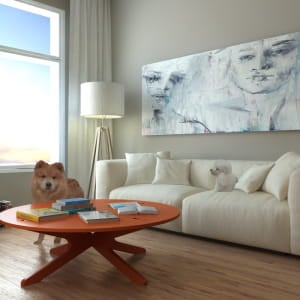 my pets in 3d scene